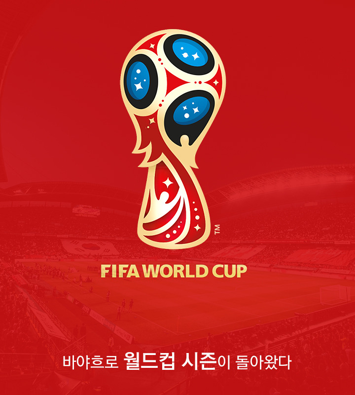 vol39_WorldCup02.jpg