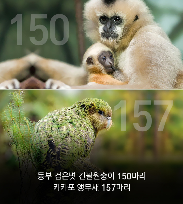 vol.33_라코스테_14.jpg