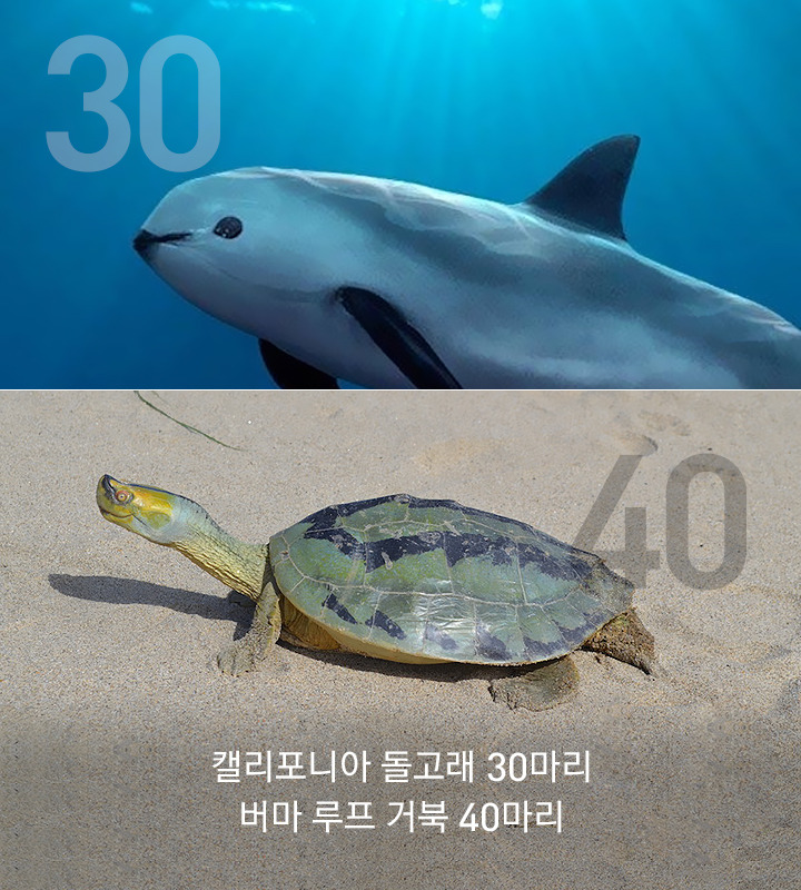 vol.33_라코스테_12 (1).jpg