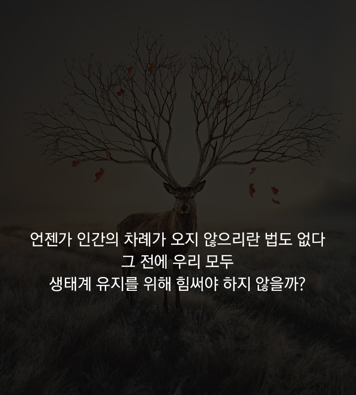 vol.33_라코스테_18.jpg