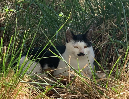 사본 -KakaoTalk_20240402_172530339.jpg