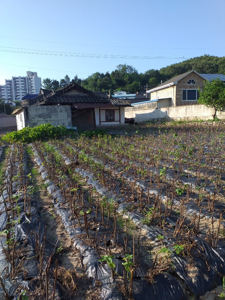 KakaoTalk_20200820_213441174.jpg