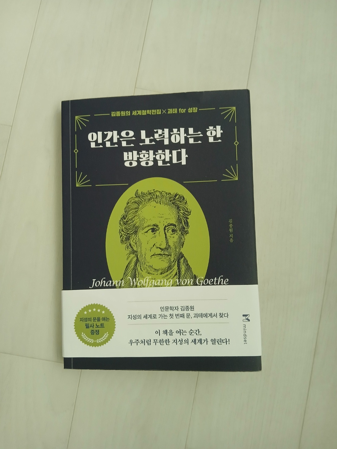 인간은 노력하는 한 방황한다.jpg