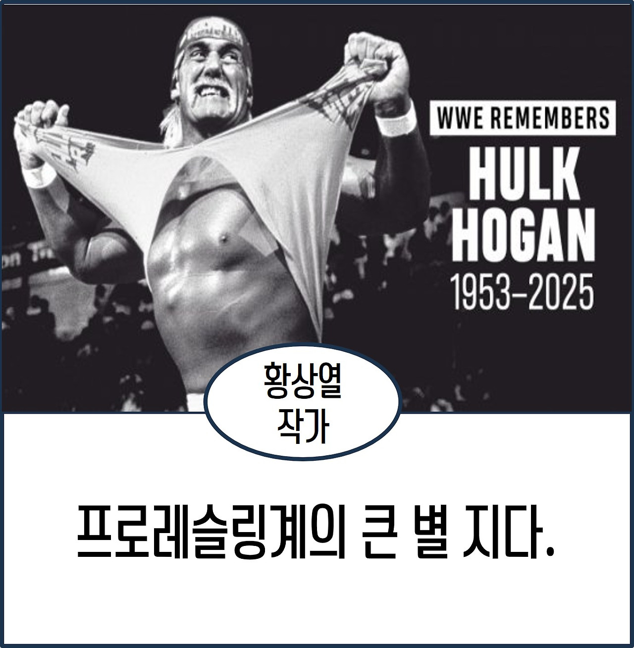 프로레슬링계 큰 별 지다.jpg