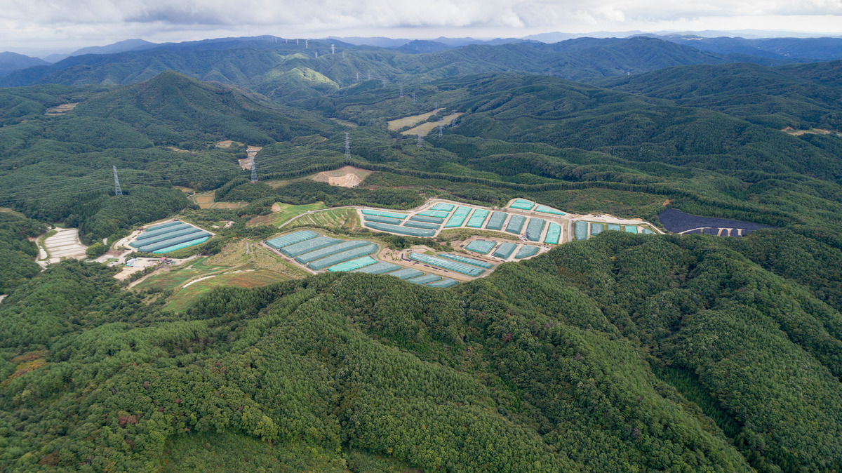 Fukushima tragedy