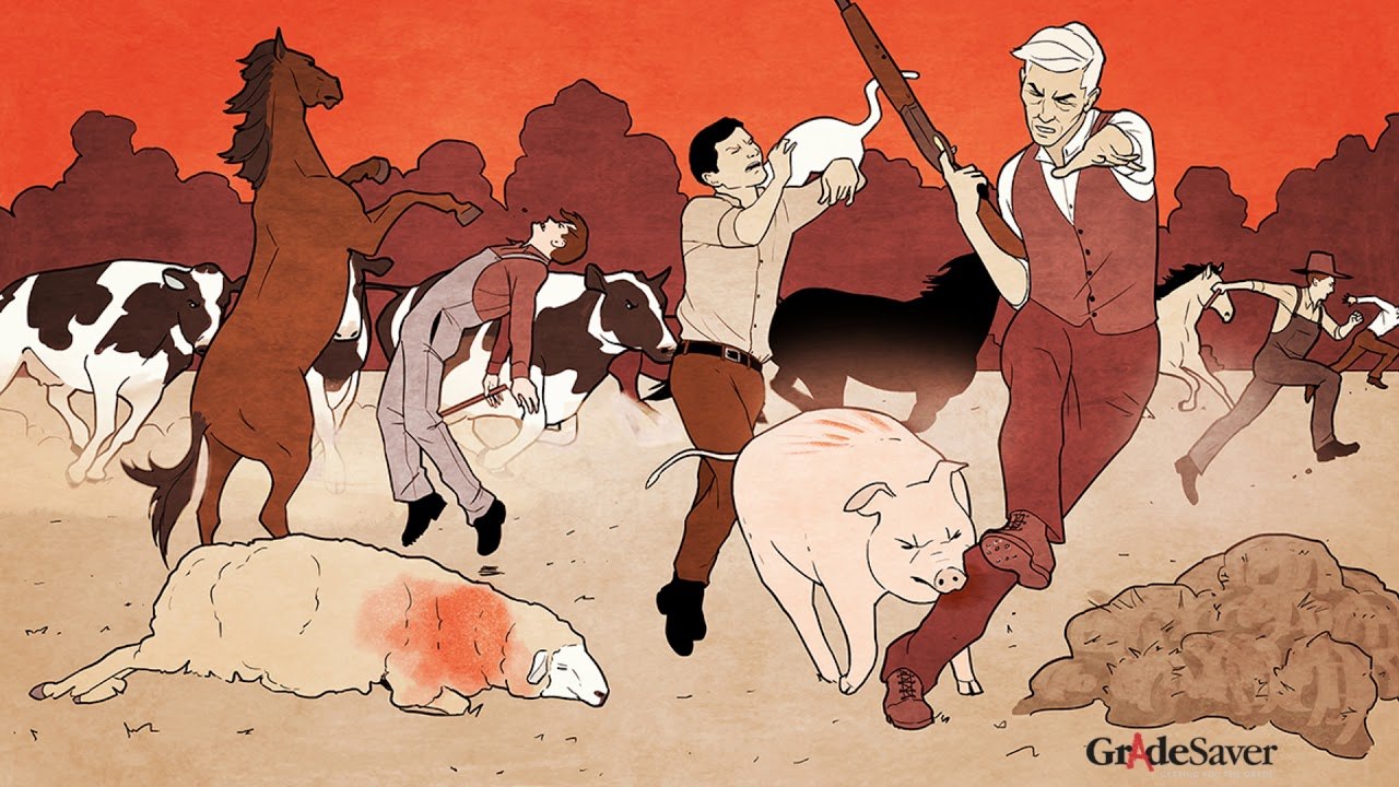 maxresdefault (1).jpg