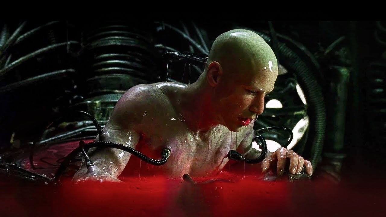 maxresdefault (1).jpg