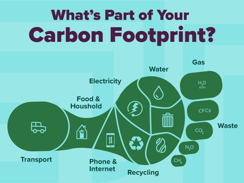 Carbon-Footprint_01.jpg