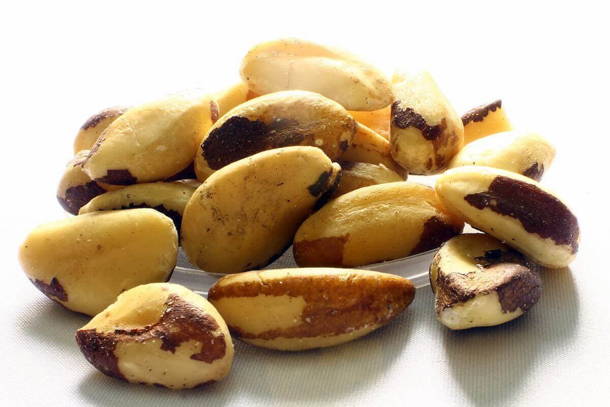 brazil-nuts-1.jpg