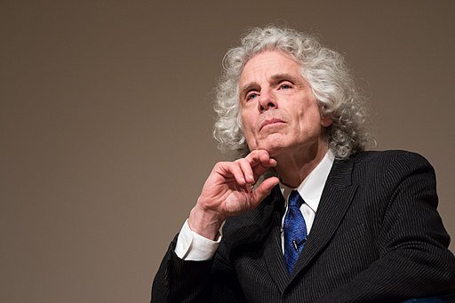 Steven_Pinker_zpkcEoj.width-800.jpg