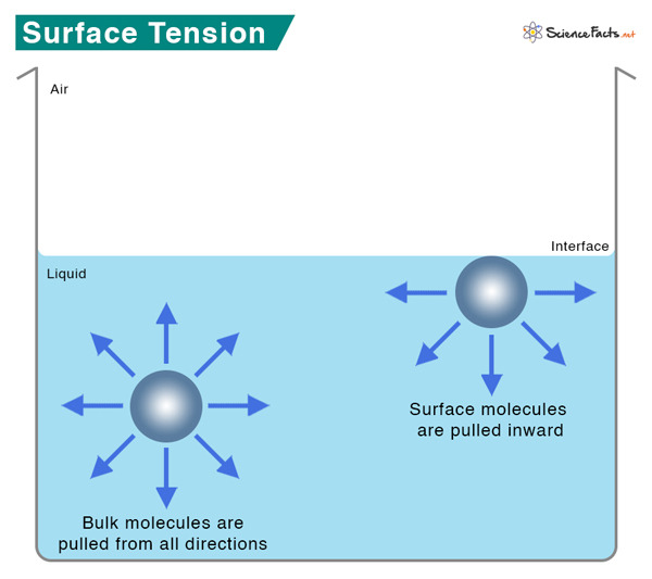 Surface-Tension.jpg