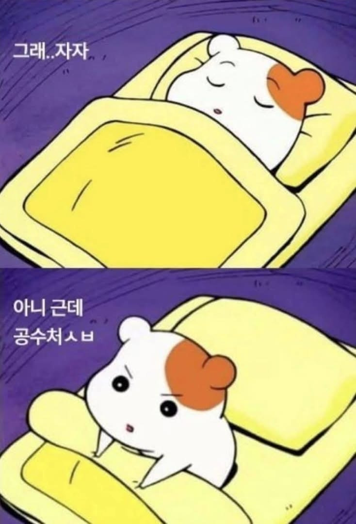 무료 카지노 게임