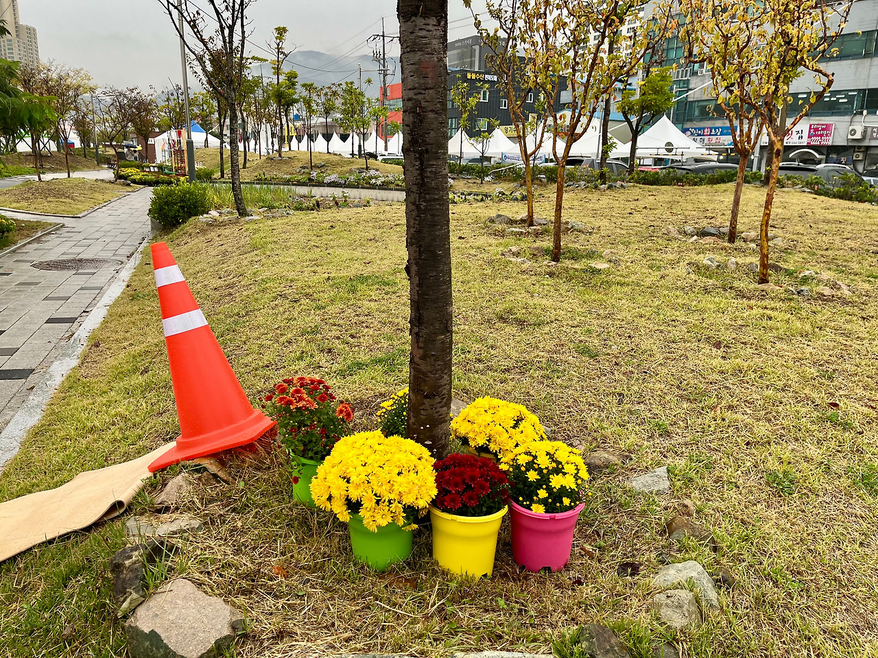 KakaoTalk_20241102_120148478_05 (1).jpg