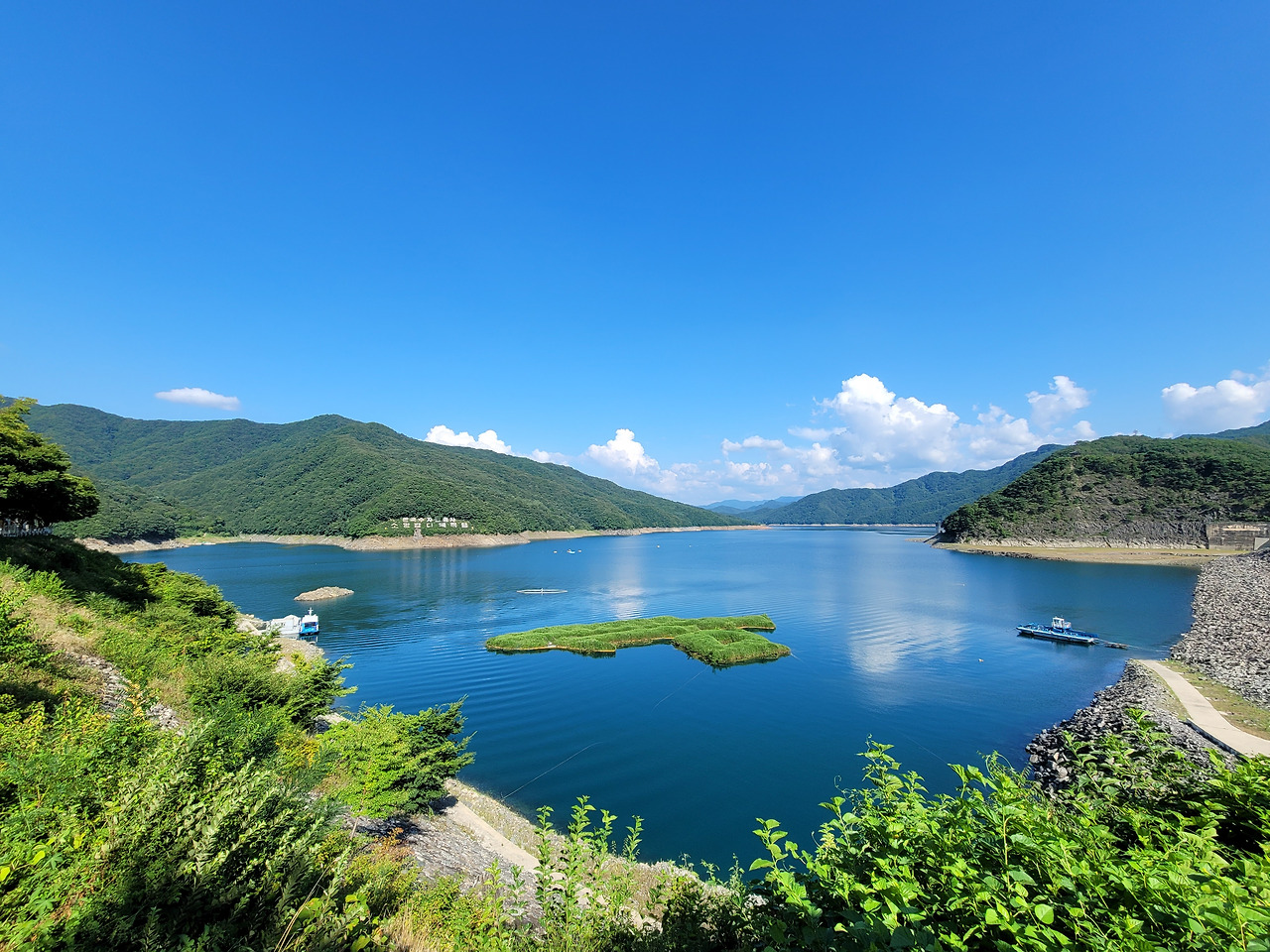 2021-07-31 16.11.08.jpg