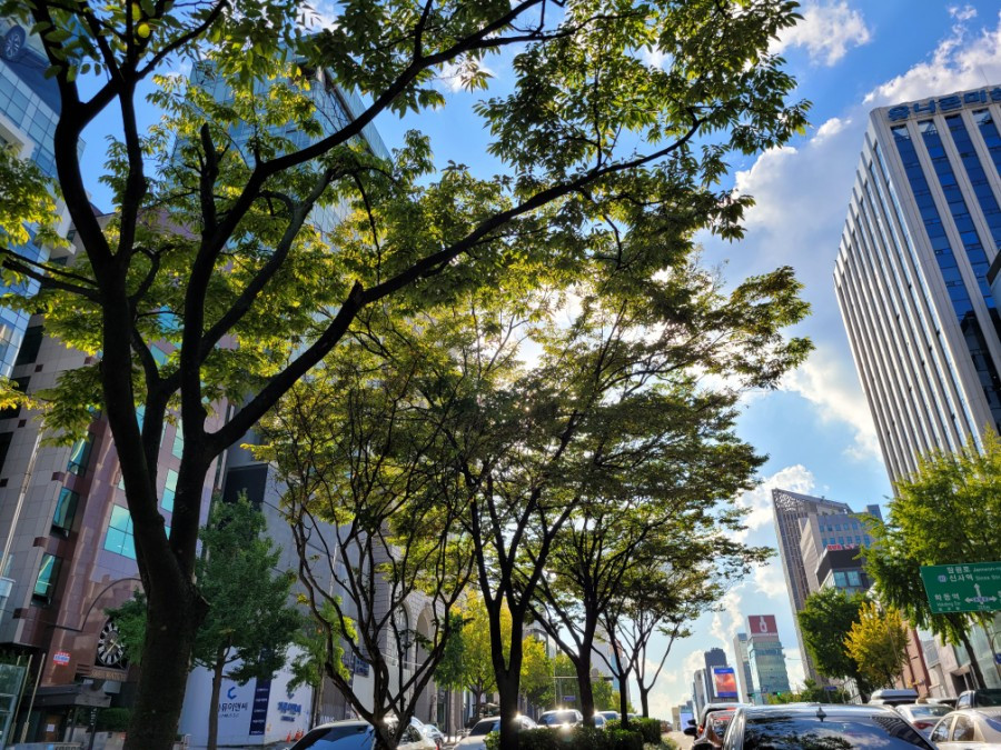 선명한 서울 3.jpg