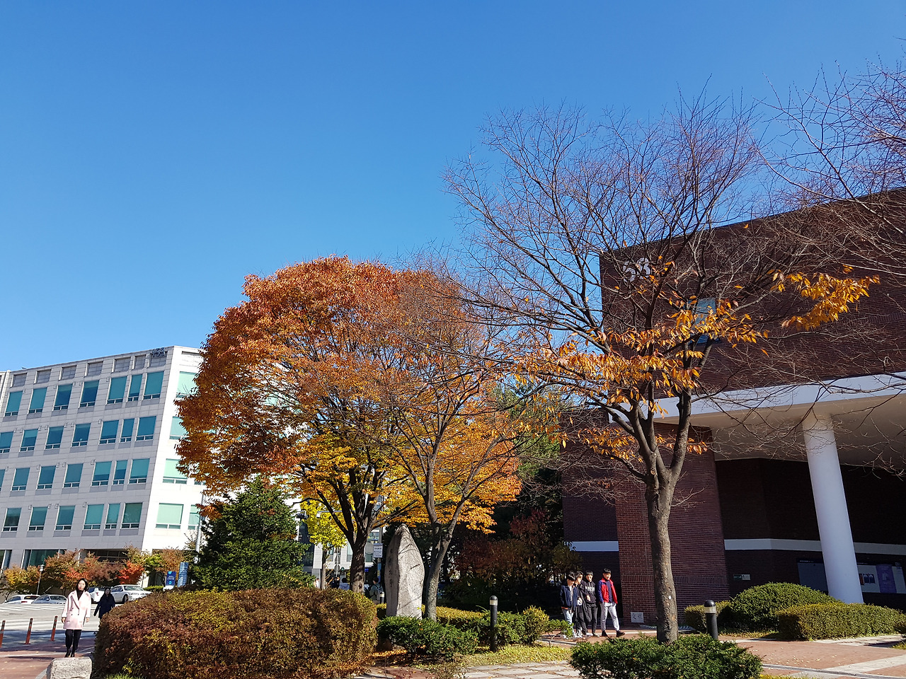 2018-11-01 12.26.45.jpg