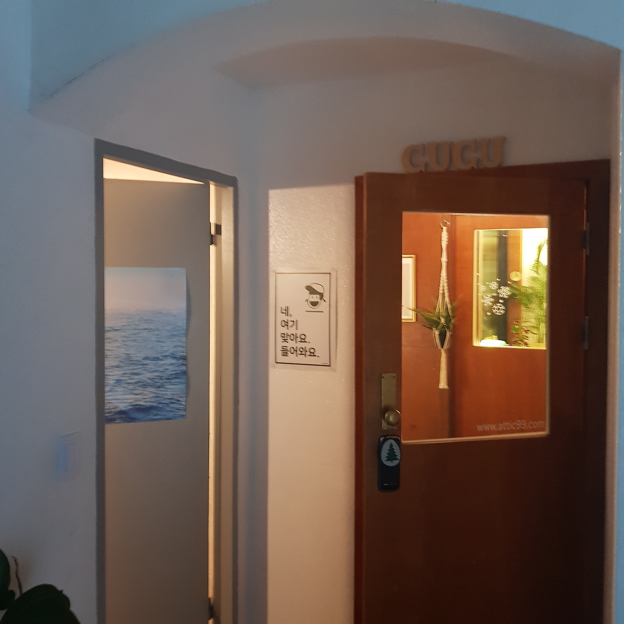 포레스트 구구 (1).jpg