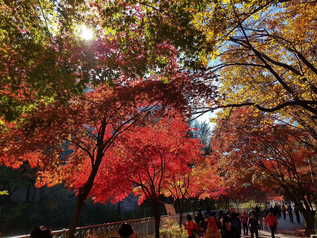 2018-11-04 11.11.08.jpg