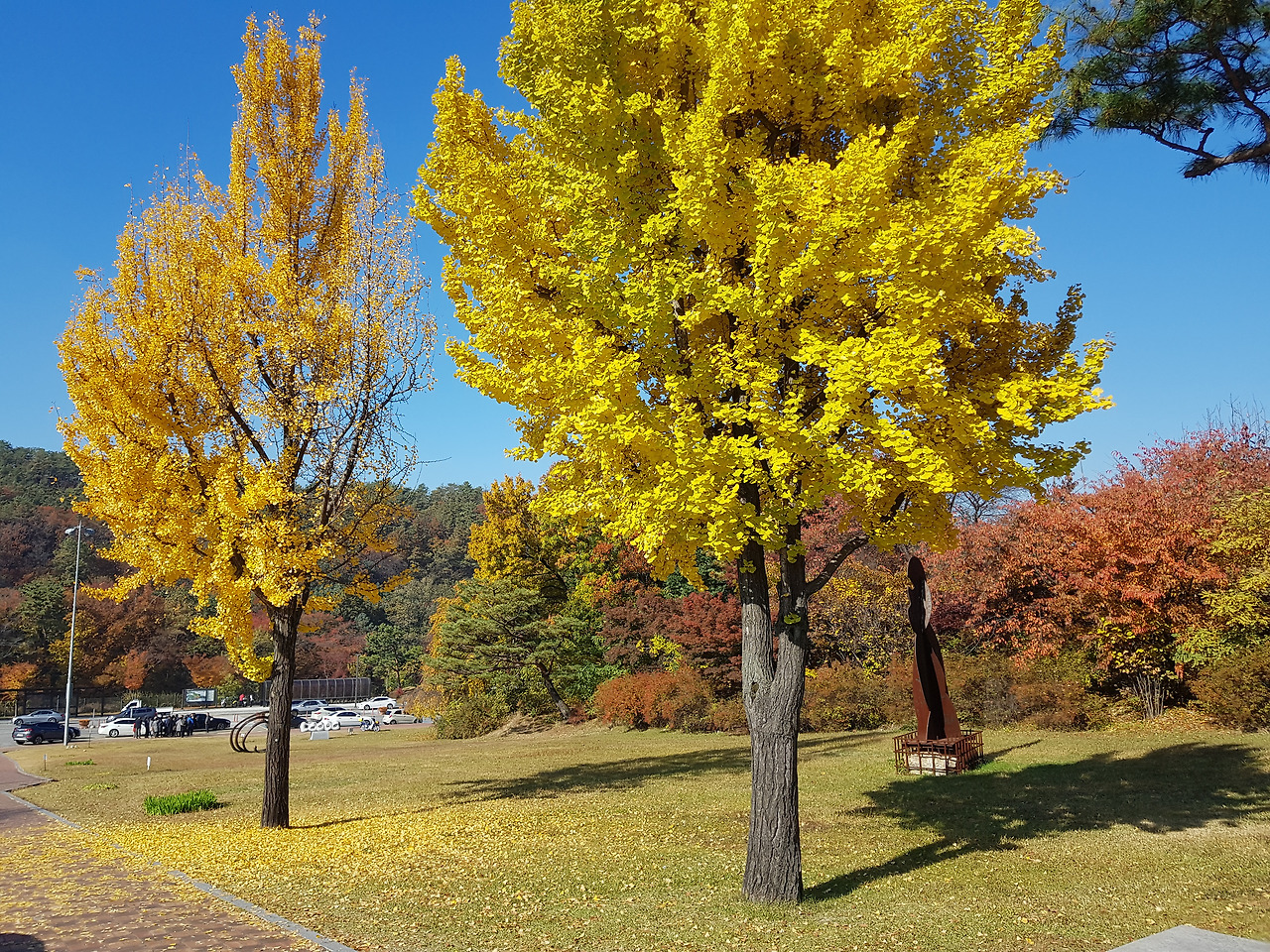 2018-11-04 10.37.30.jpg