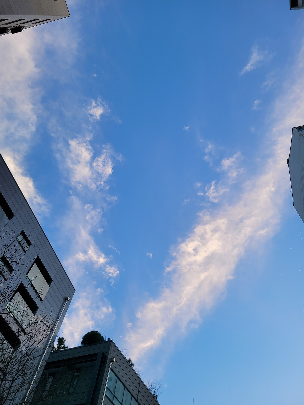 김칫국 2024-01-27 17.38.19.jpg