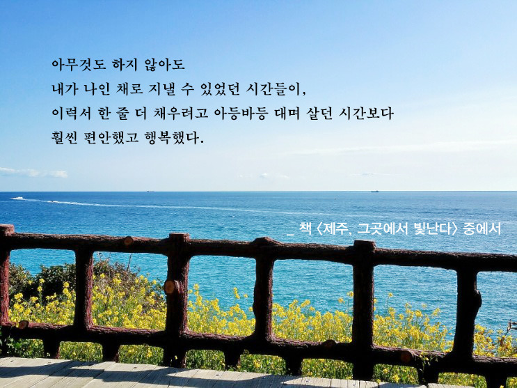 제주, 이력서.jpg