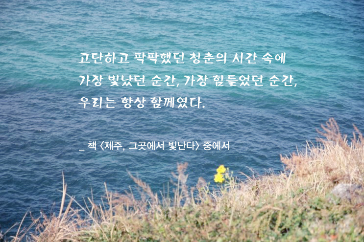 청춘연애.jpg