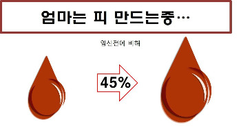 임신 10주- 혈액의변화.jpg