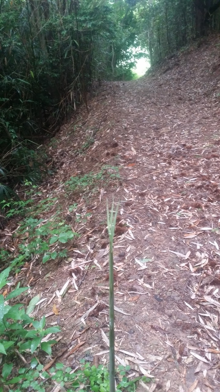 a_ce1Ud018svcjtvgxkrv66sf_e4yr2x (1).jpg