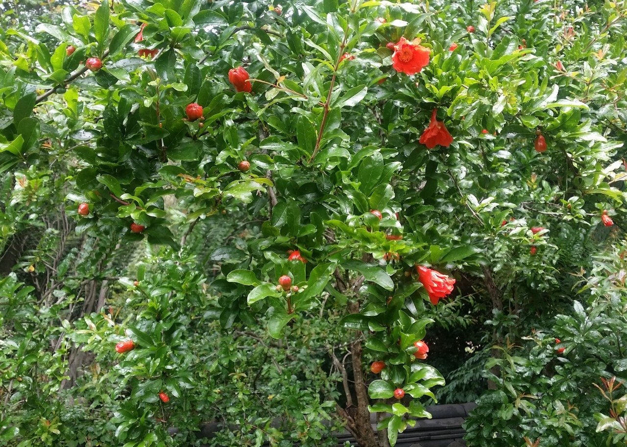 i_aaeUd018svc1xq4heyrnduu4_e4yr2x (1).jpg