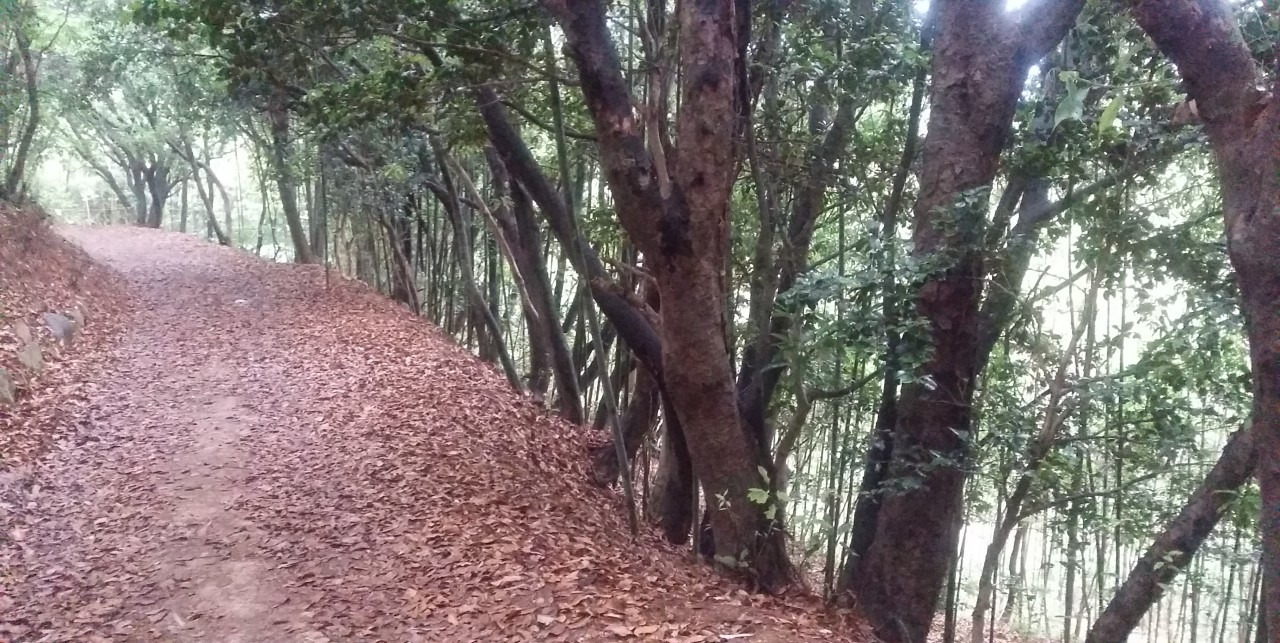 8_7e1Ud018svc1mrrg3ac2bs9d_e4yr2x (1).jpg