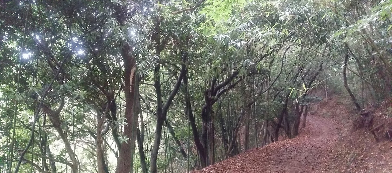 8_he1Ud018svcbq7mzottlzgg_e4yr2x (1).jpg