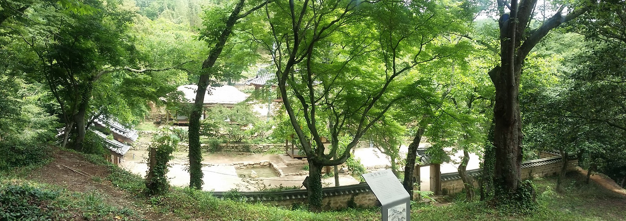 5_302Ud018svc18csm3uw3k1cl_e4yr2x (2).jpg