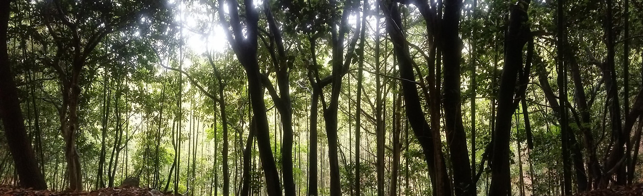 8_ee1Ud018svctl3ve8eip8n8_e4yr2x (1).jpg