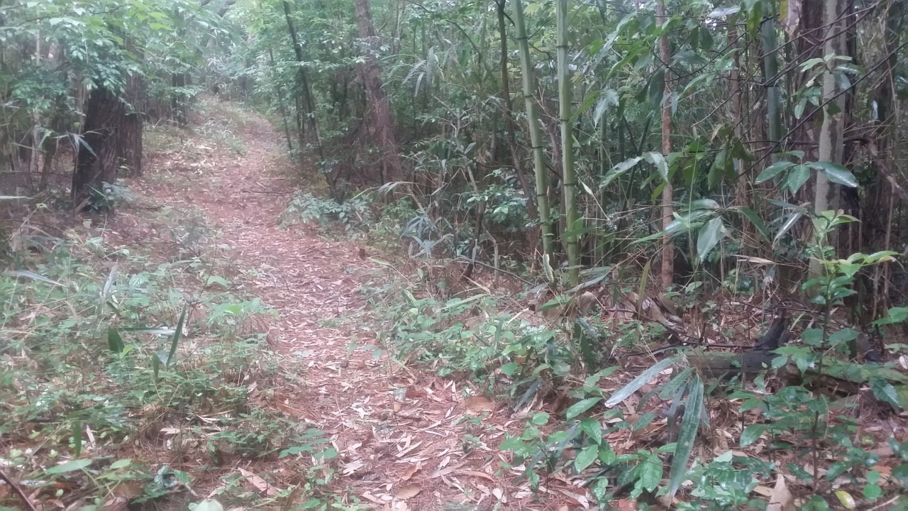 9_7e1Ud018svclvwvw9cdeh39_e4yr2x (1).jpg