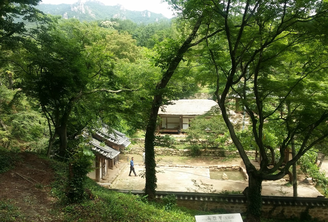 5_602Ud018svc18cqec4d758hz_e4yr2x (1).jpg