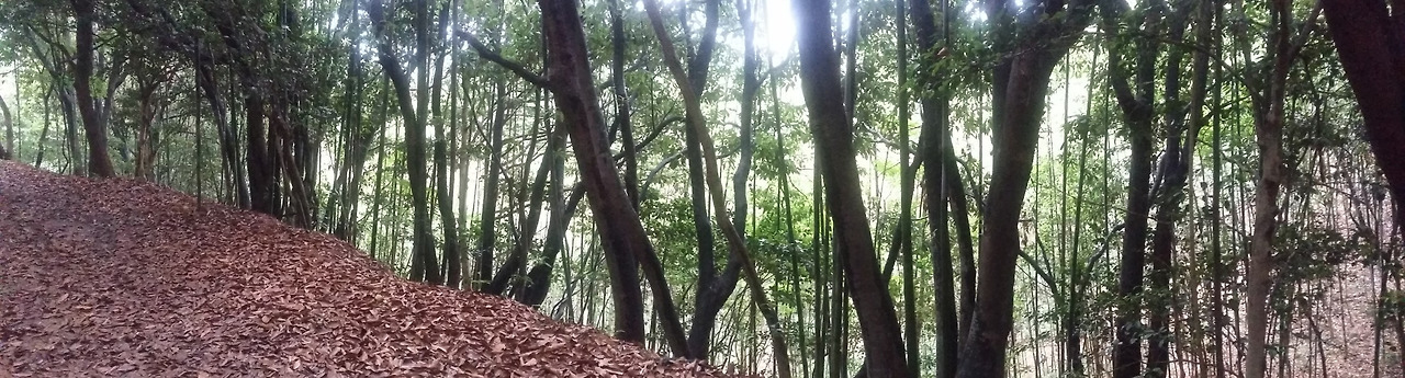 8_ae1Ud018svc1o6jz154xz7x_e4yr2x (1).jpg