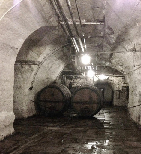 IMG_5400 복사본 3.jpg