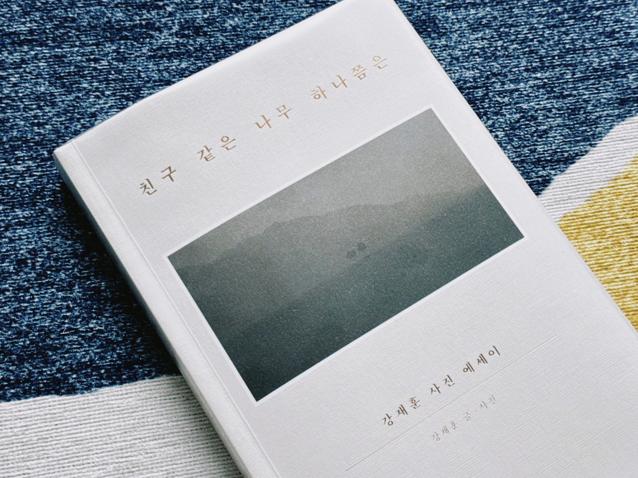 친구 같은 나무 하나쯤은1.jpg