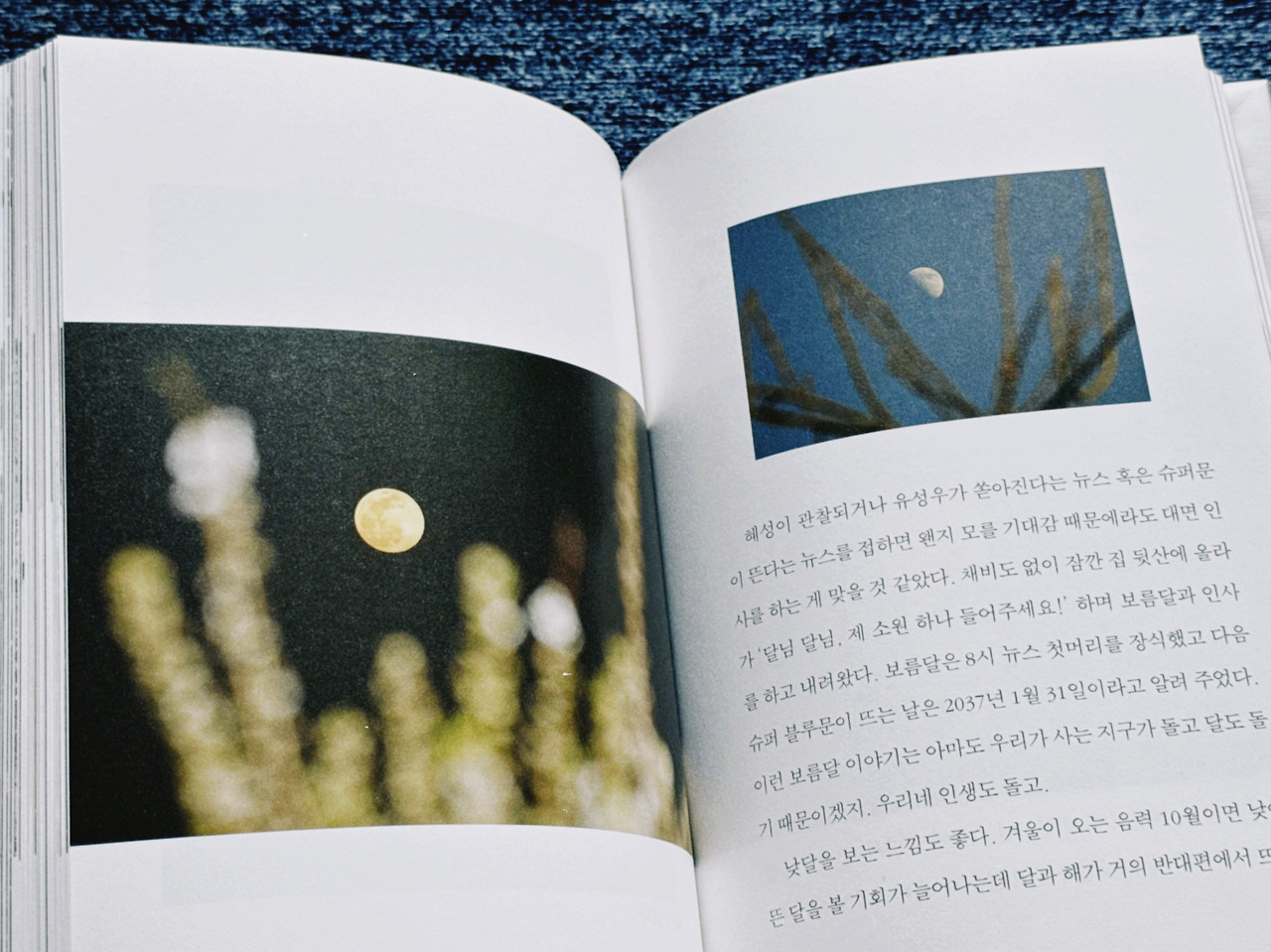 친구 같은 나무 하나쯤은4.jpg