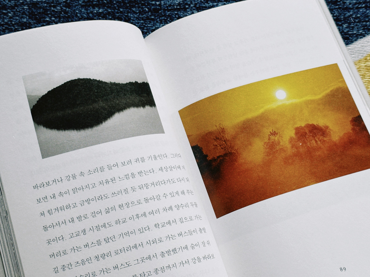 친구 같은 나무 하나쯤은3.jpg