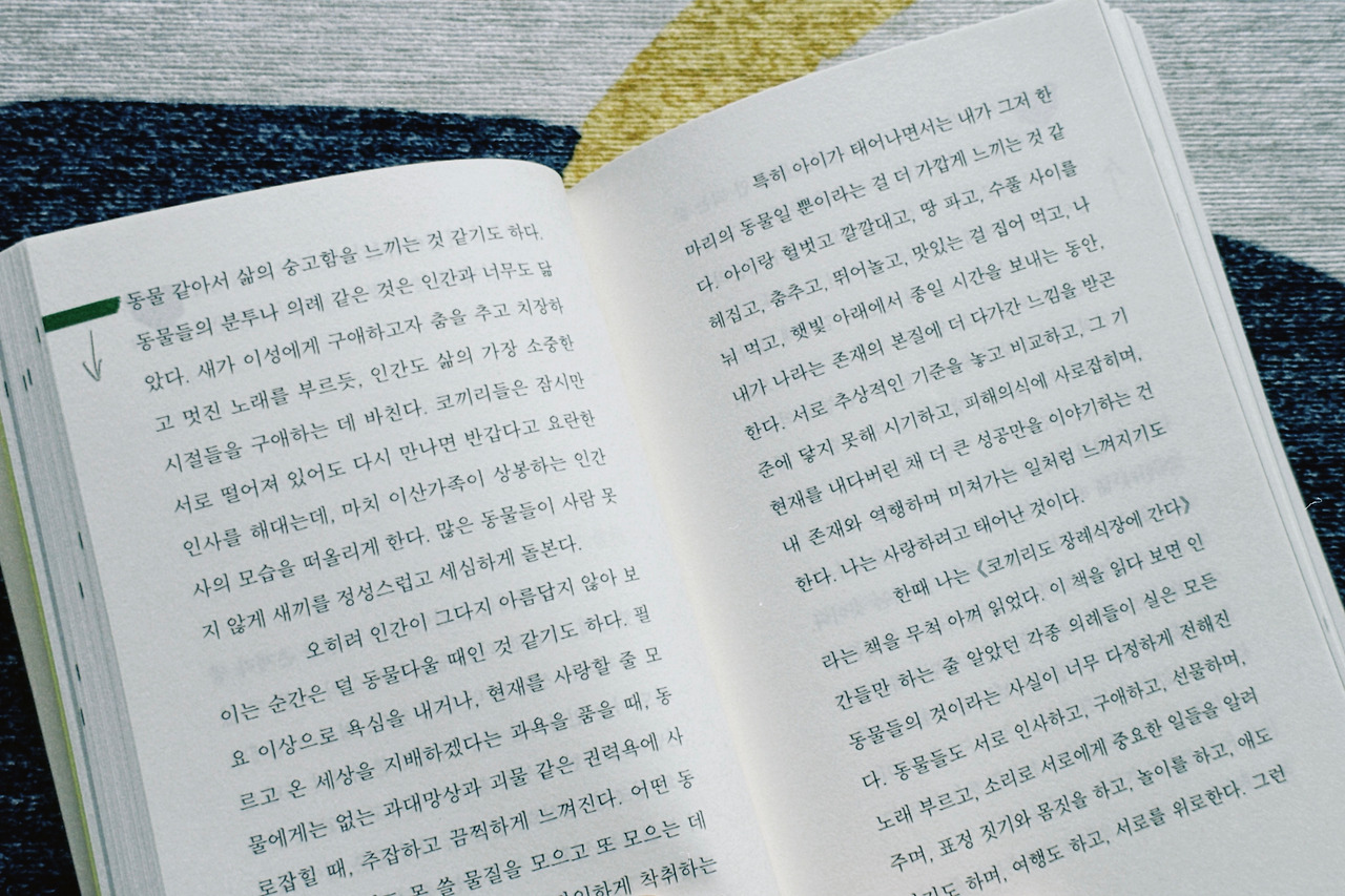 그럼에도 육아3.jpg