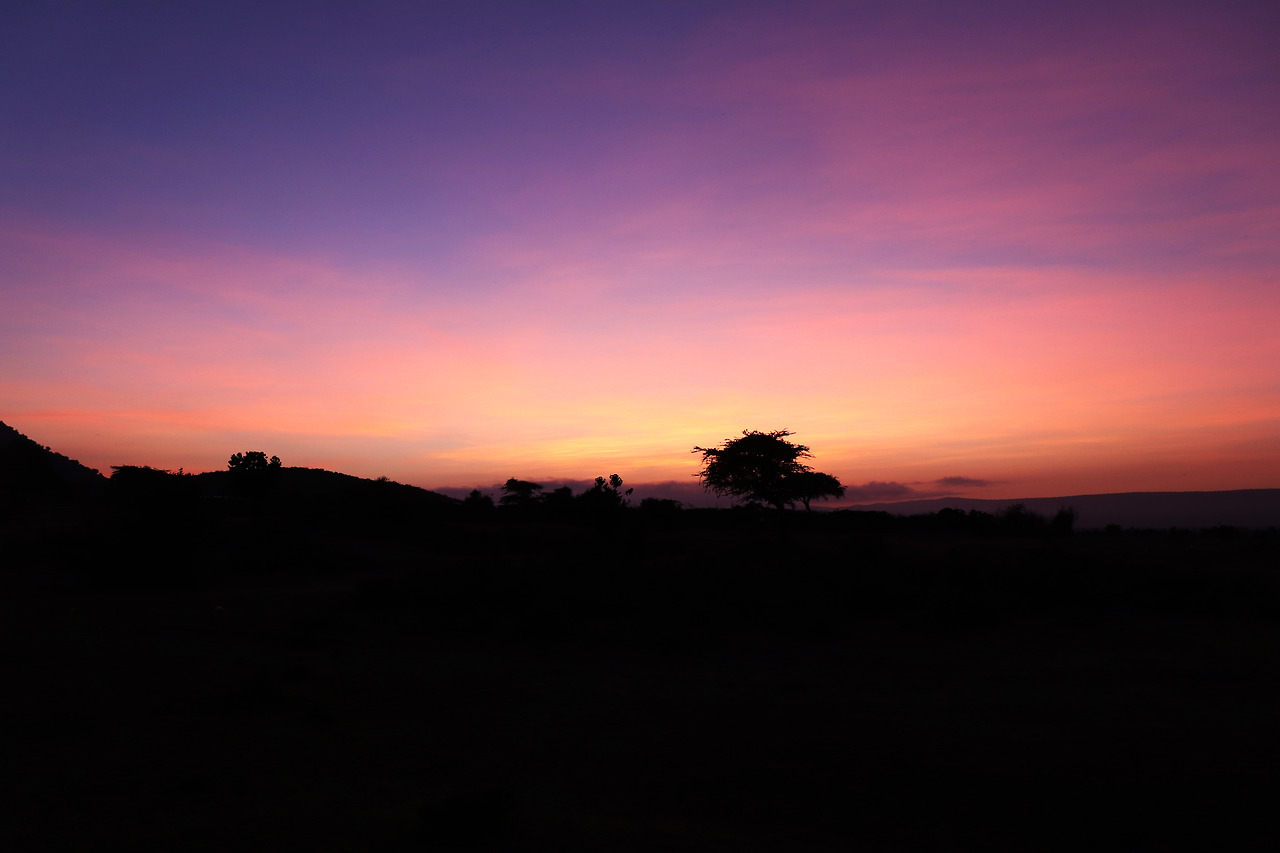 마사이마라 초원 노을.jpg
