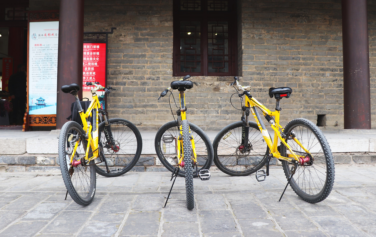 15 자전거 세대.jpg