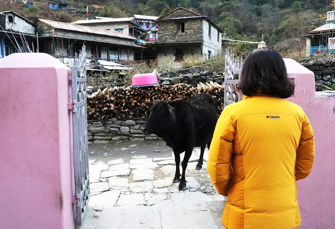 15 여긴왜왔니.jpg