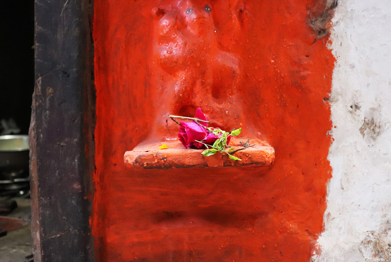 3 할머니가 놓고 간 장미.jpg