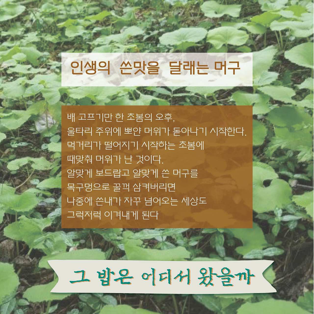 KakaoTalk_20190418_160401558.jpg