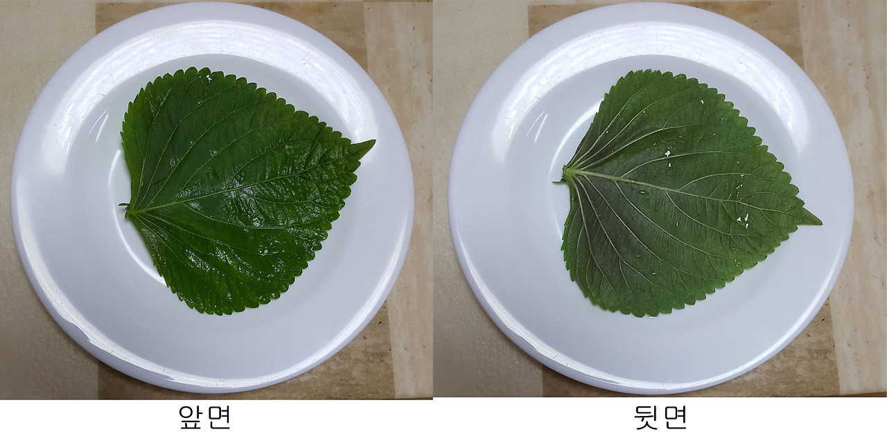깻잎.jpg