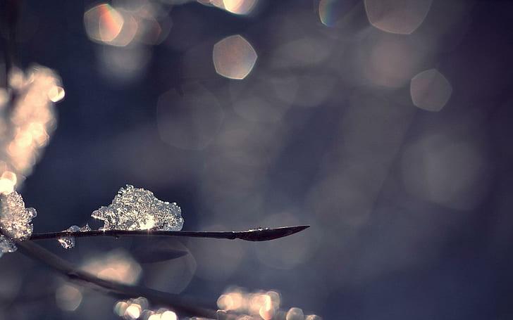 ice-crystals-on-a-branch-iced-water-drop-on-twig-bukeh-light-wallpaper-preview.jpg