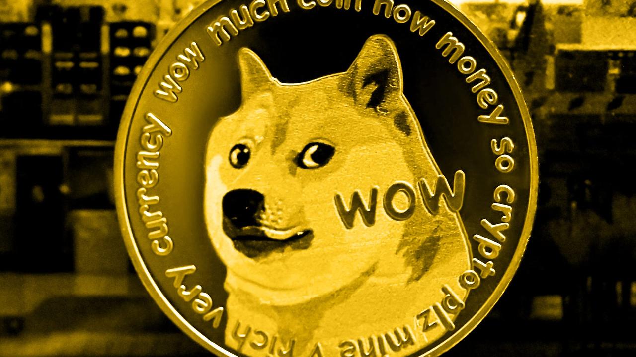 doge.jpg