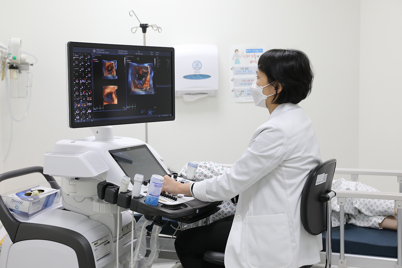 4D 심장초음파 (3).jpg